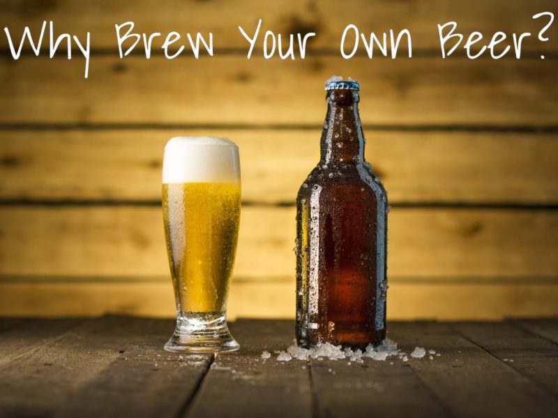 Why Brew Your Own Beer? (6 Compelling Reasons)
